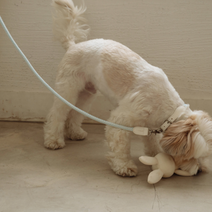 Rope Collar(ソーダ)