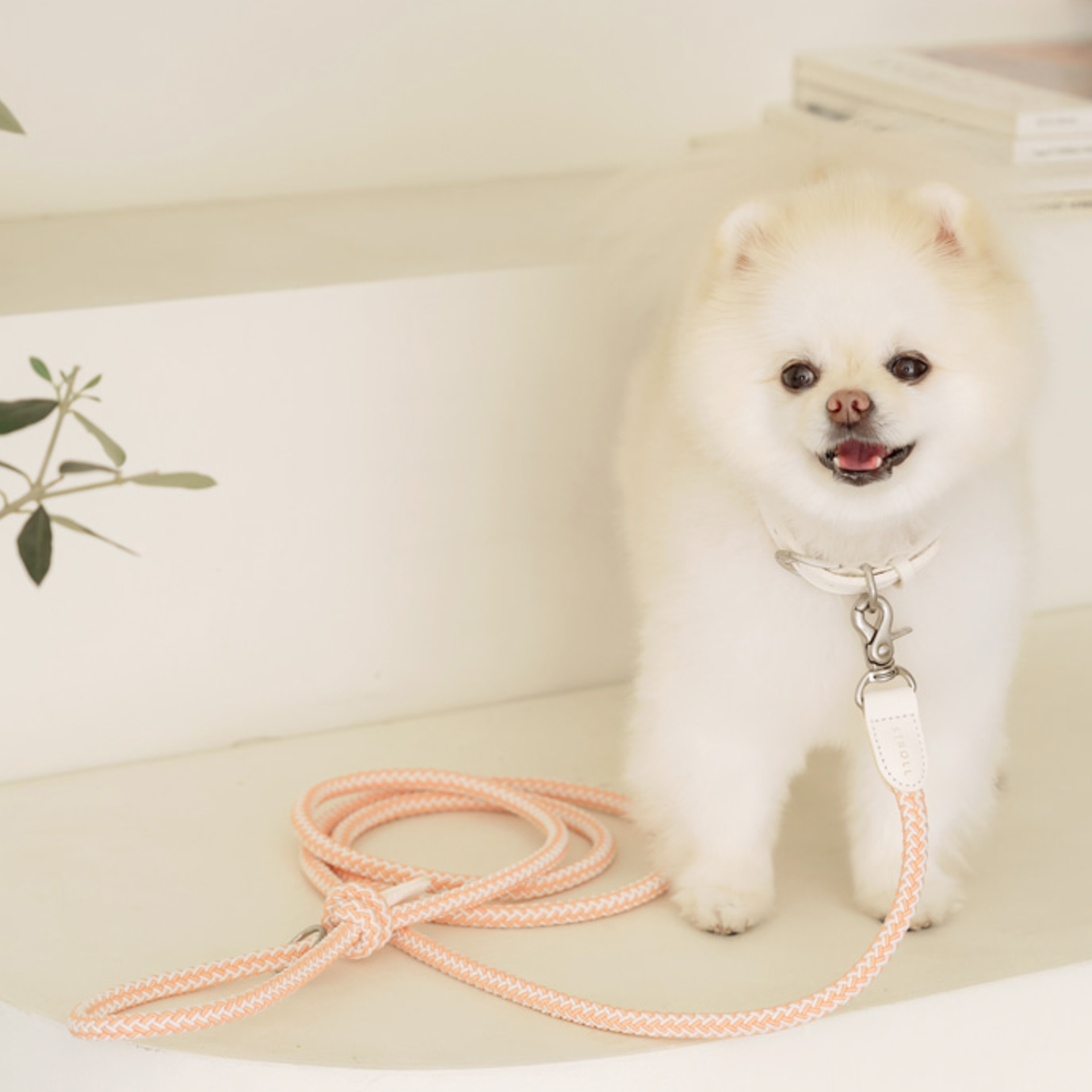 Classic Leash 1.8m 手持ちリード(コーラル)