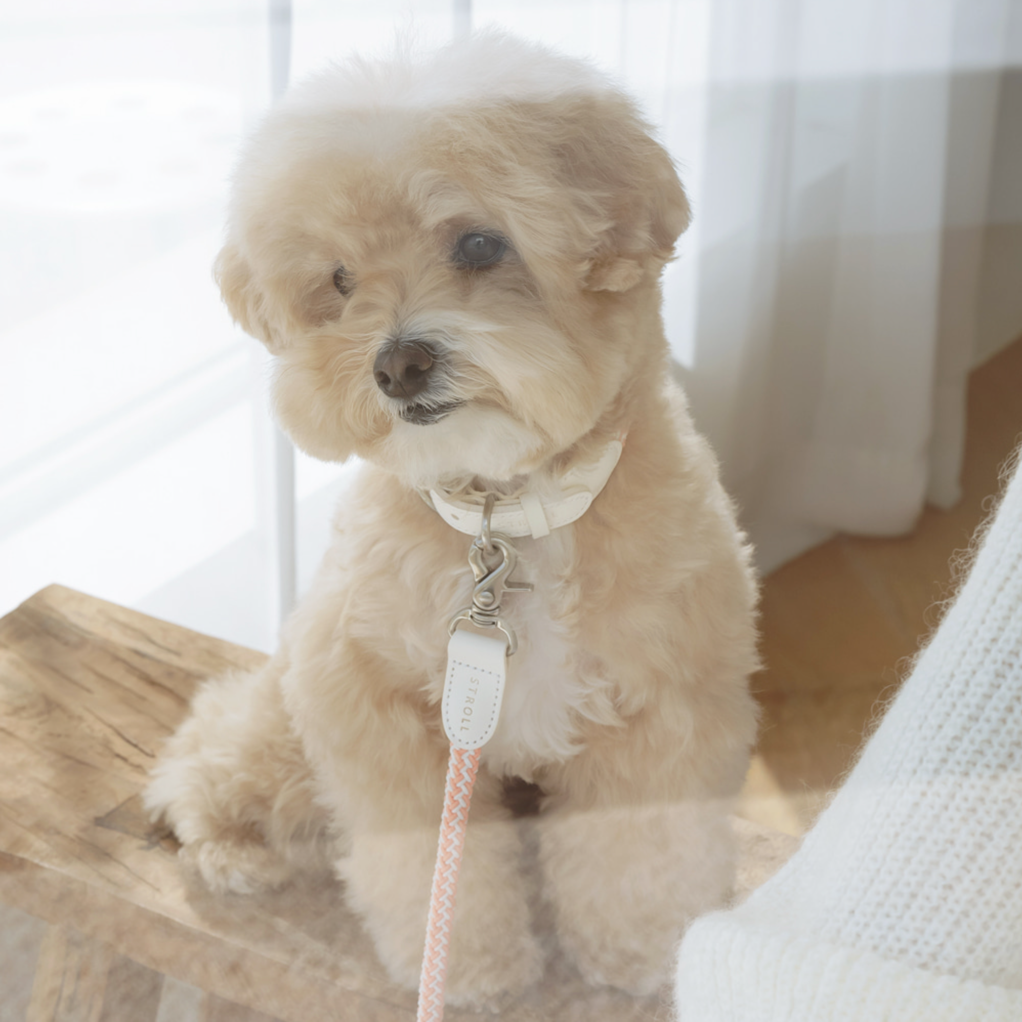 Rope Collar(コーラル)