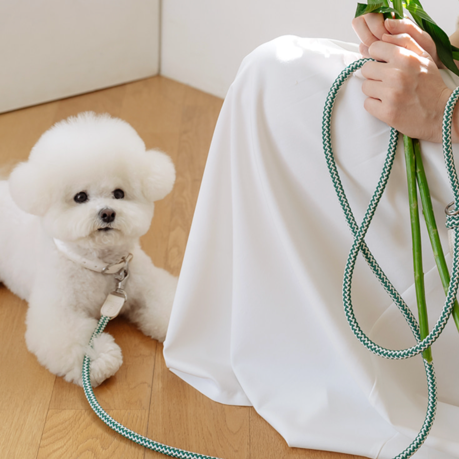 Classic Leash 1.8m 手持ちリード(フォレストグリーン)