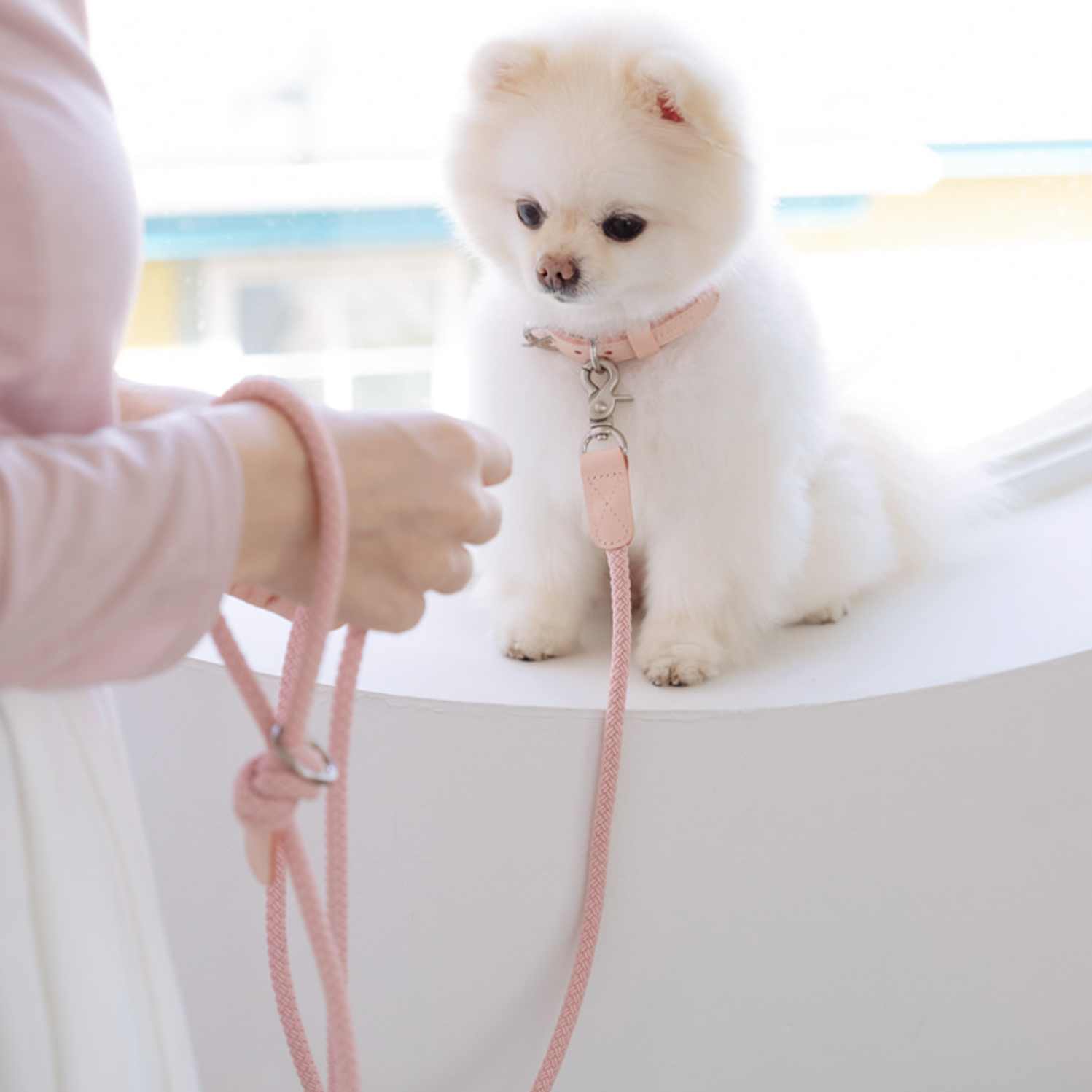 Classic Leash 1.8m 手持ちリード(ピンク)