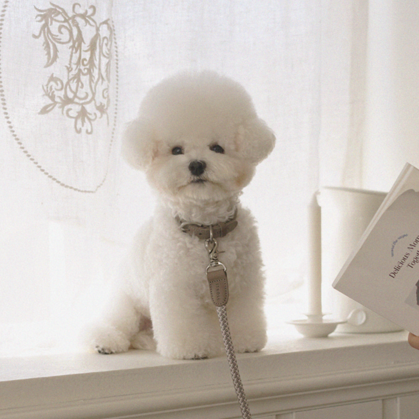 Classic Leash 1.8m 手持ちリード(アッシュグレー)