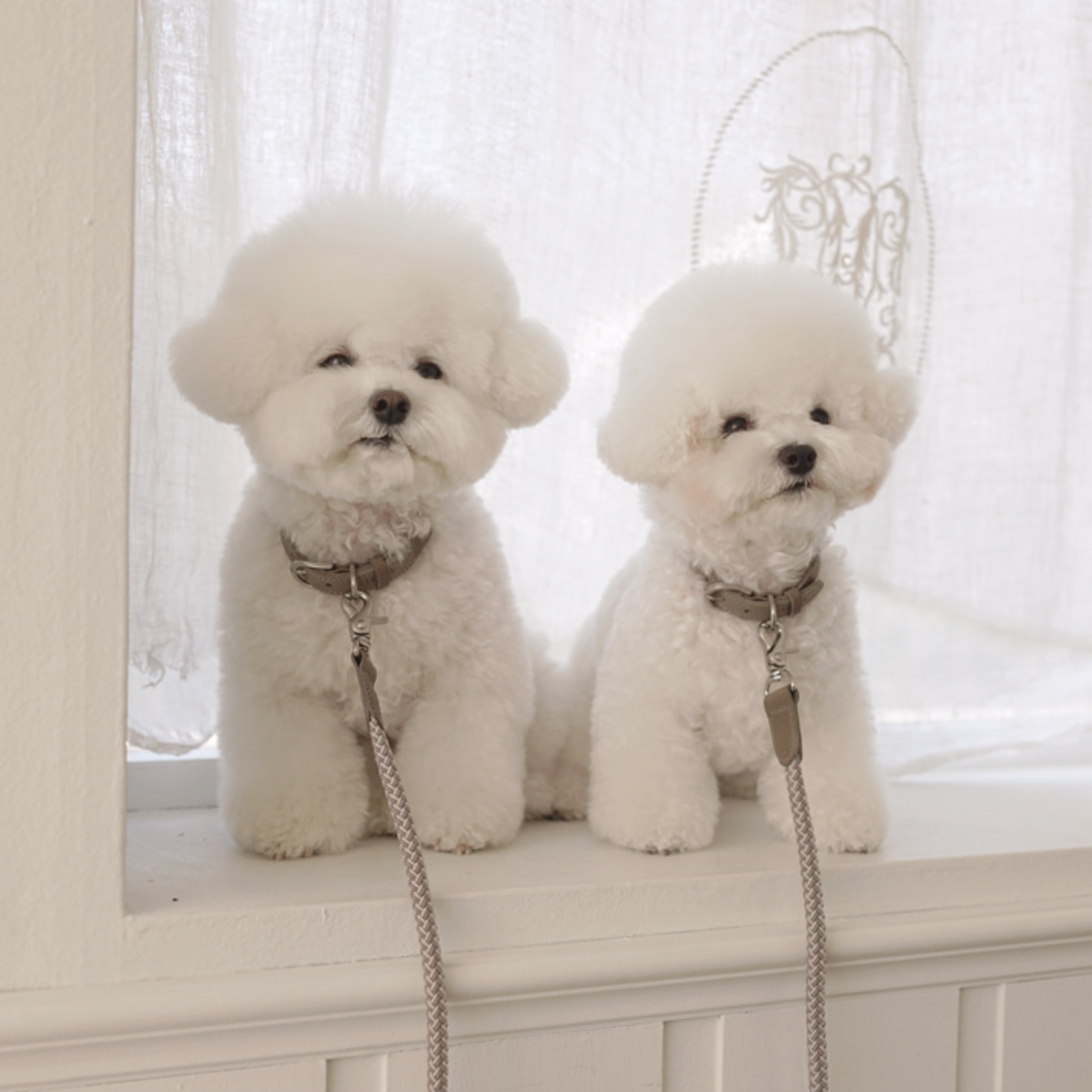 Classic Leash 1.8m 手持ちリード(アッシュグレー)