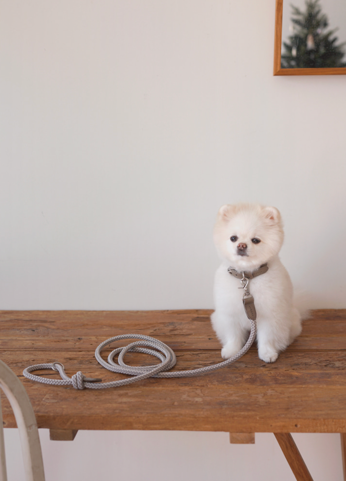 Classic Leash 1.8m 手持ちリード(アッシュグレー)