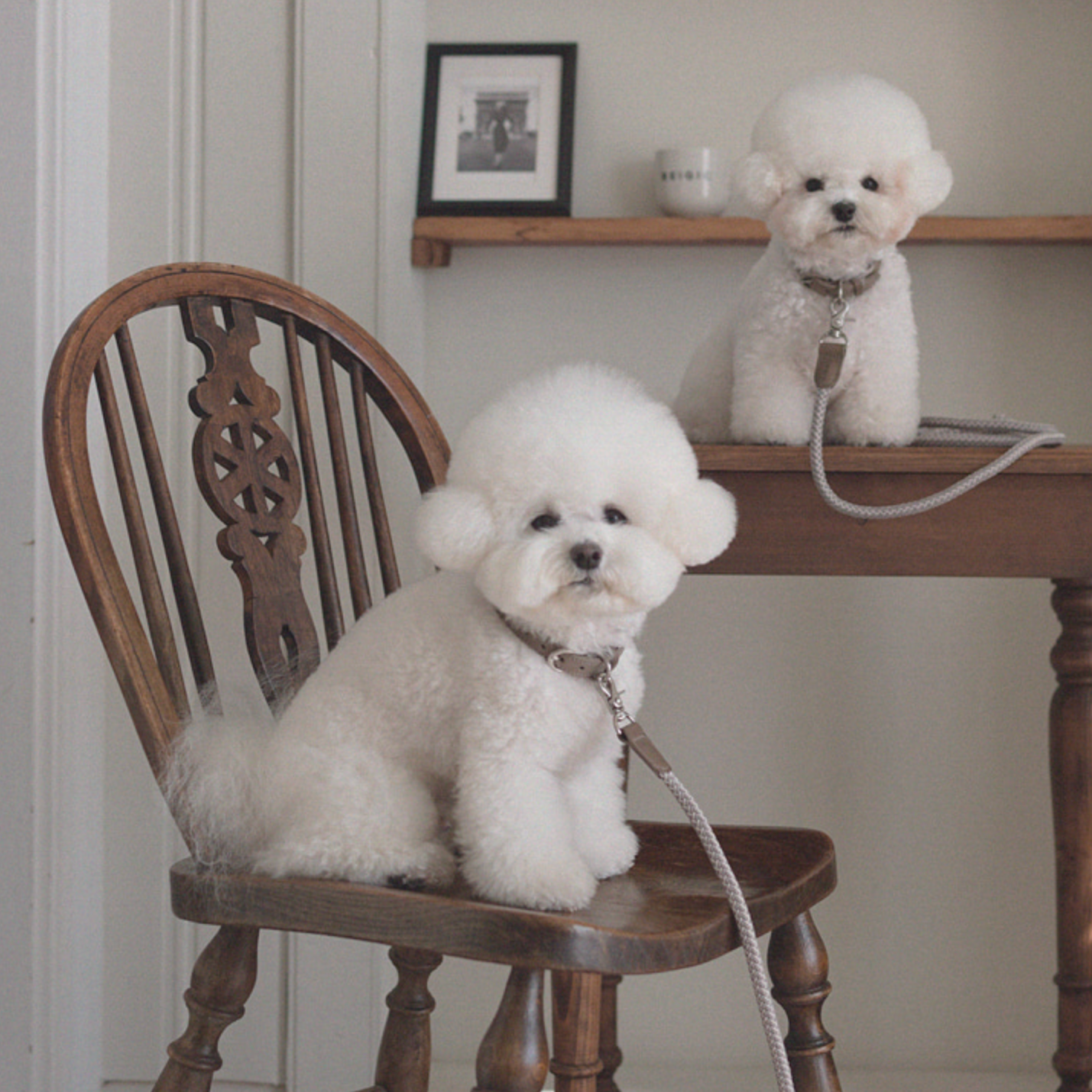 Classic Leash 1.8m 手持ちリード(アッシュグレー)