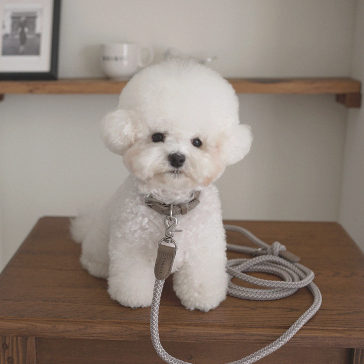 Classic Leash 1.8m 手持ちリード(アッシュグレー)