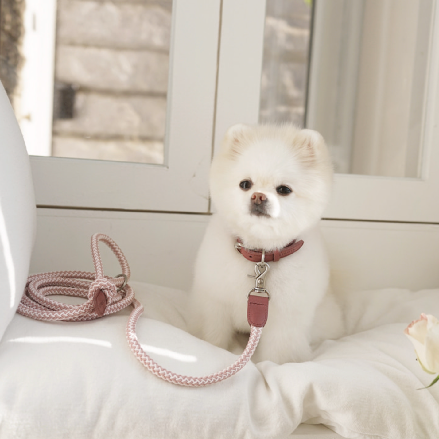 Classic Leash 1.8m 手持ちリード(ヴィンテージローズ)