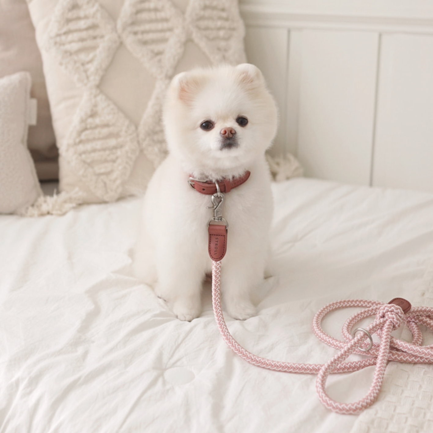 Classic Leash 1.8m 手持ちリード(ヴィンテージローズ)