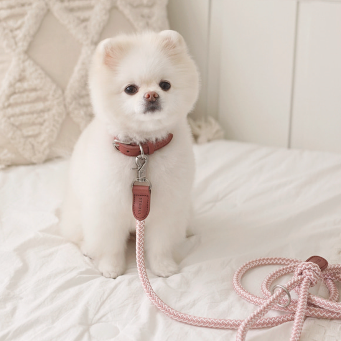 Rope Collar(ヴィンテージローズ)