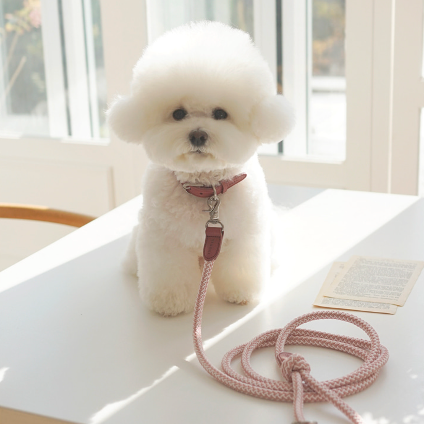 Classic Leash 1.8m 手持ちリード(ヴィンテージローズ)