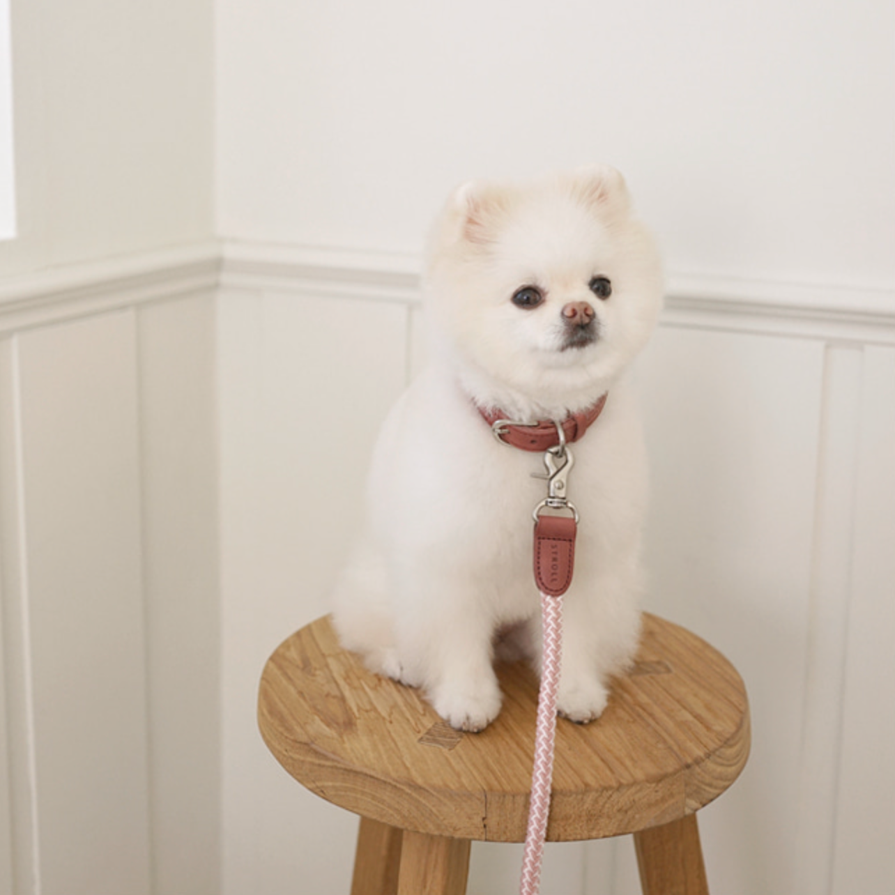 Classic Leash 1.8m 手持ちリード(ヴィンテージローズ)