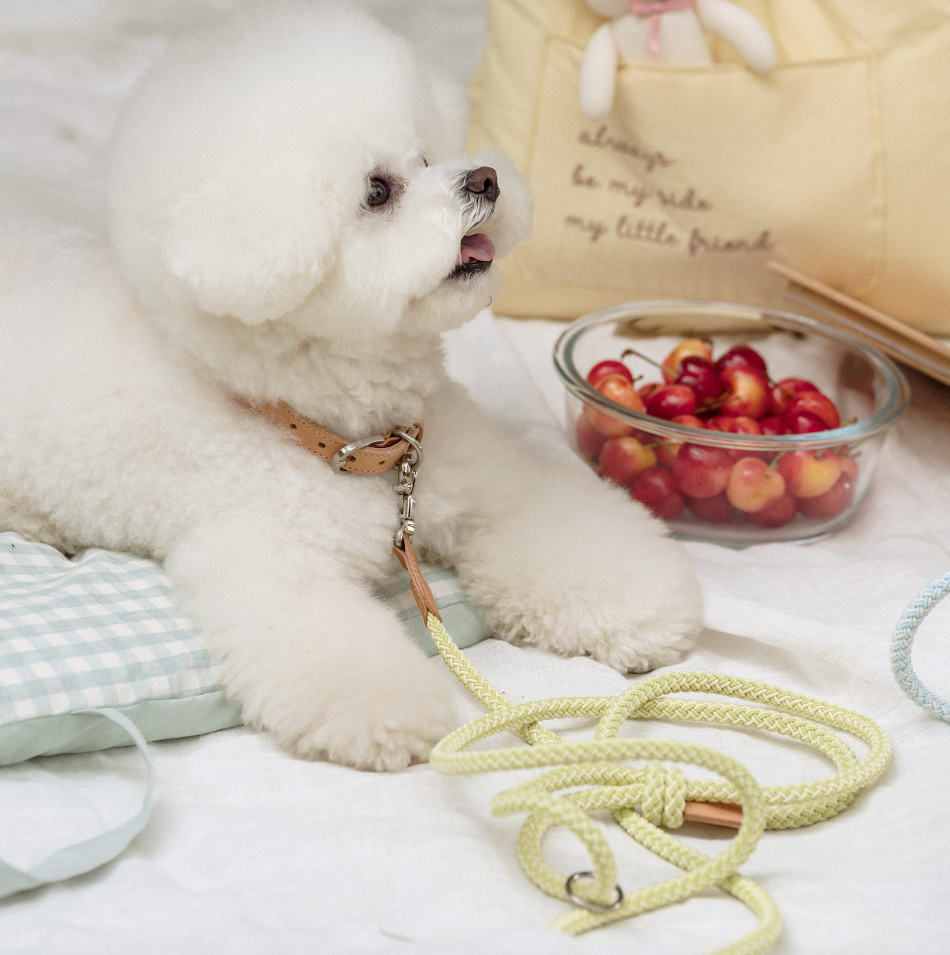 Classic Leash 1.8m 手持ちリード(レモンライム)