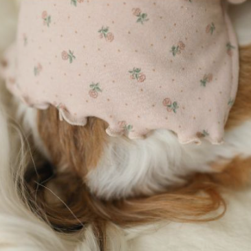 フラワースリーブレストップス(ピンク)