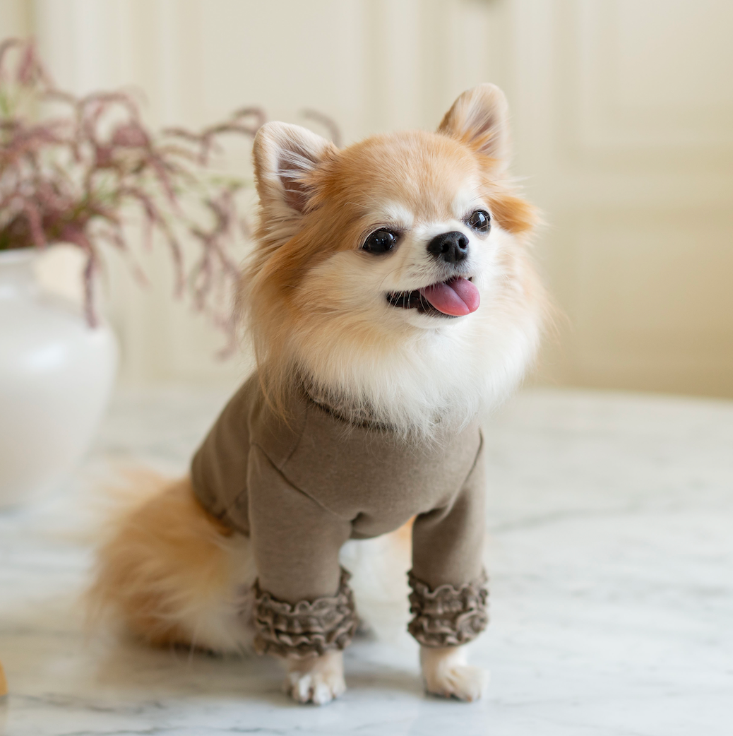 Lace Long Sleeve Turtleneck(Olive Khaki)