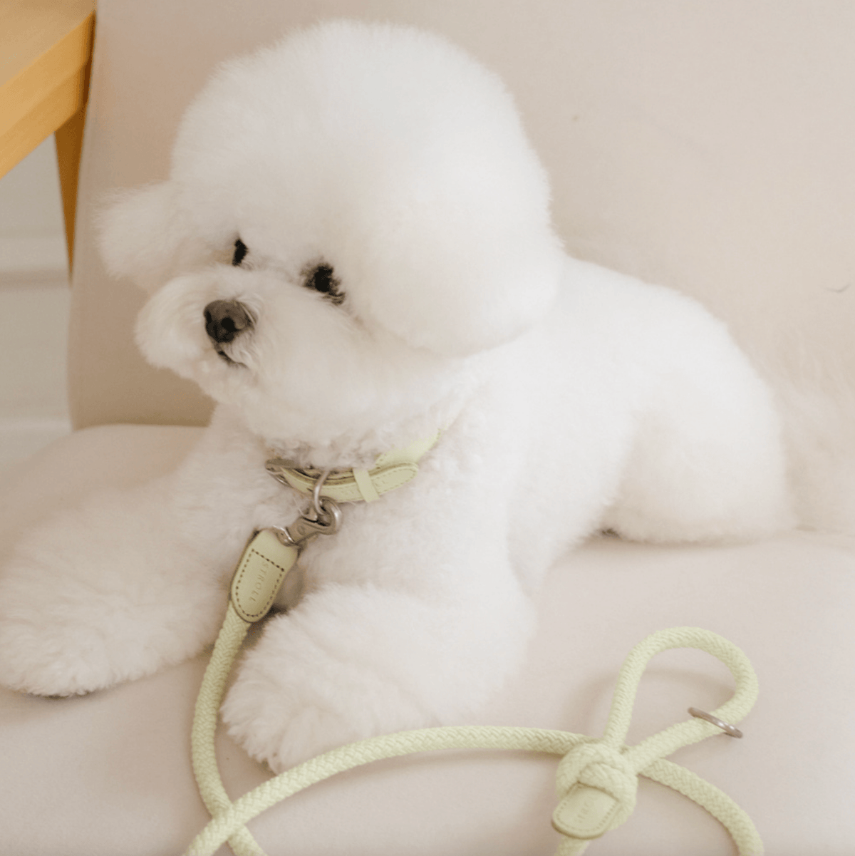 Stroll Rope Collar&Leash Pistachio ロープ首輪&リード