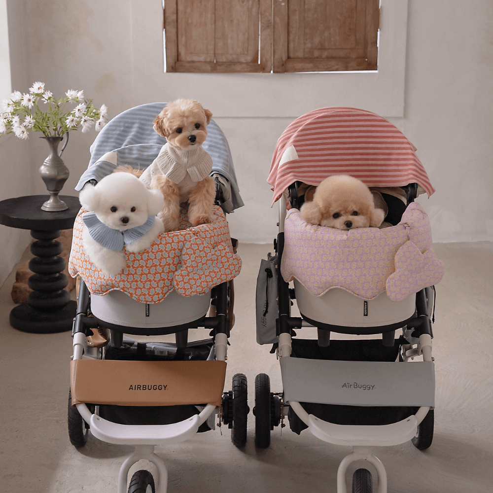 【予約】Knit Stripe Buggy Blanket (2COLOR)