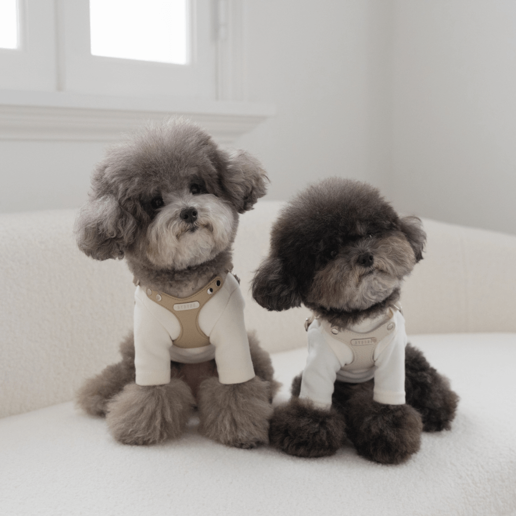 DELIGHT HARNESS(ベージュ)