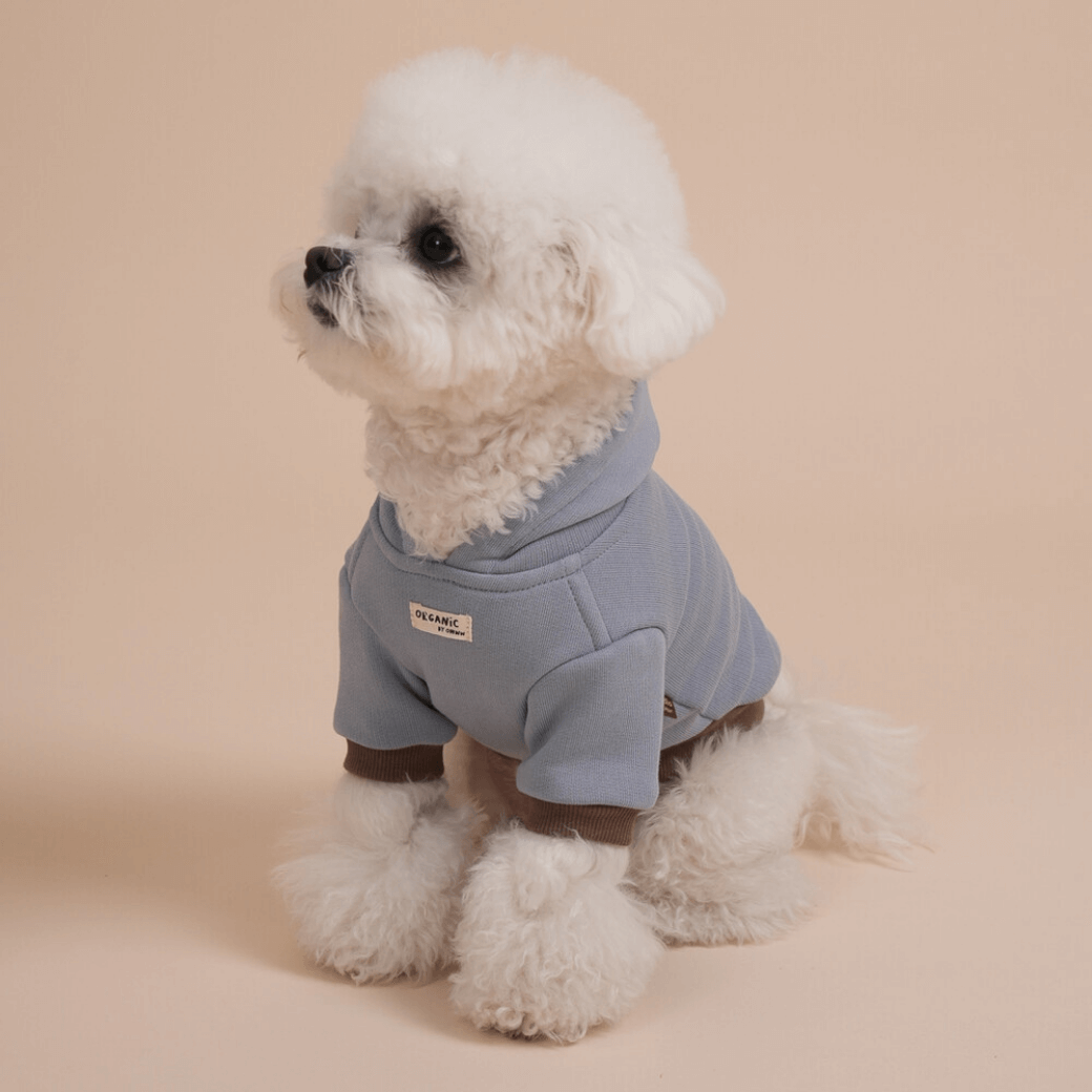 ORGANIC HOODIE (fog blue)