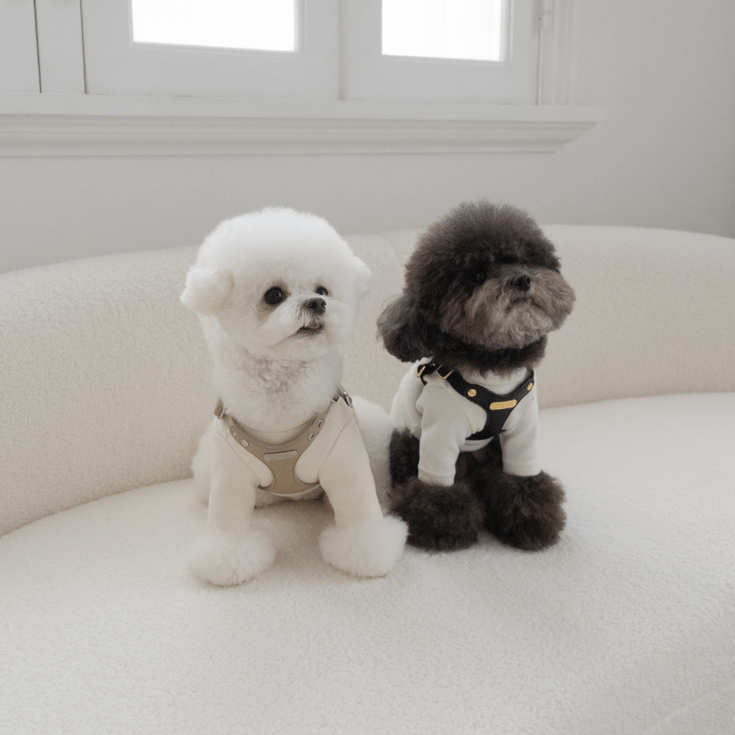 DELIGHT HARNESS(ベージュ)