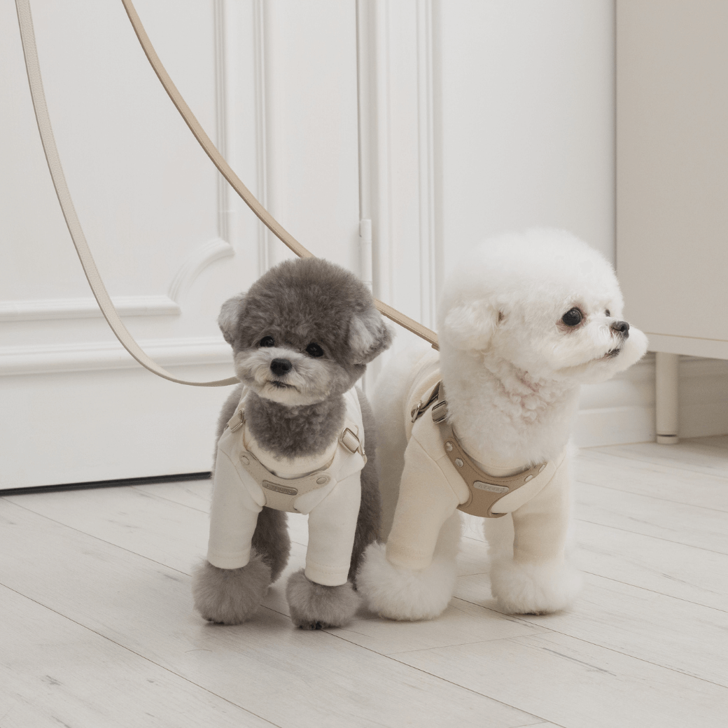 DELIGHT HARNESS(ベージュ)