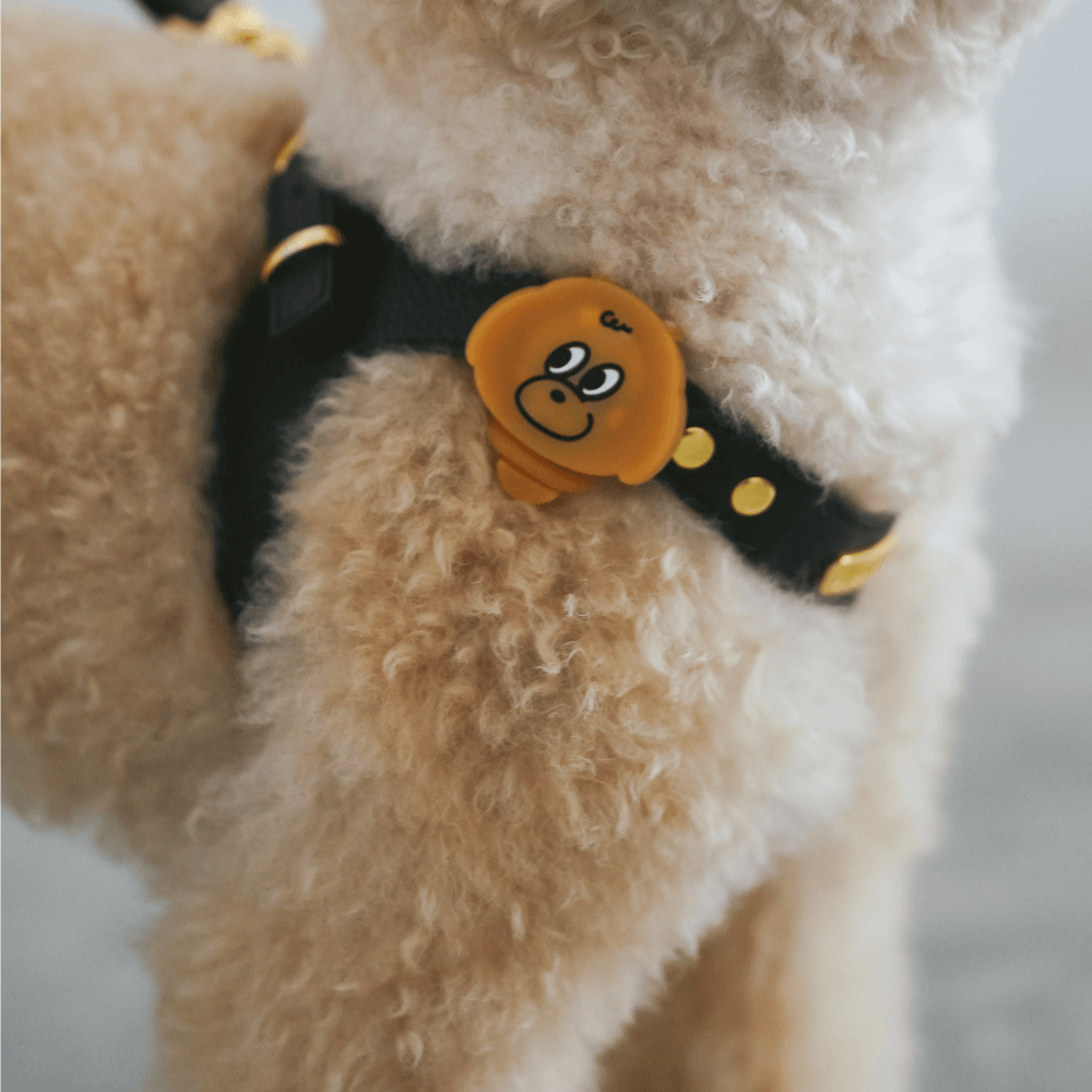 犬の夜散歩用LEDライト MINIME