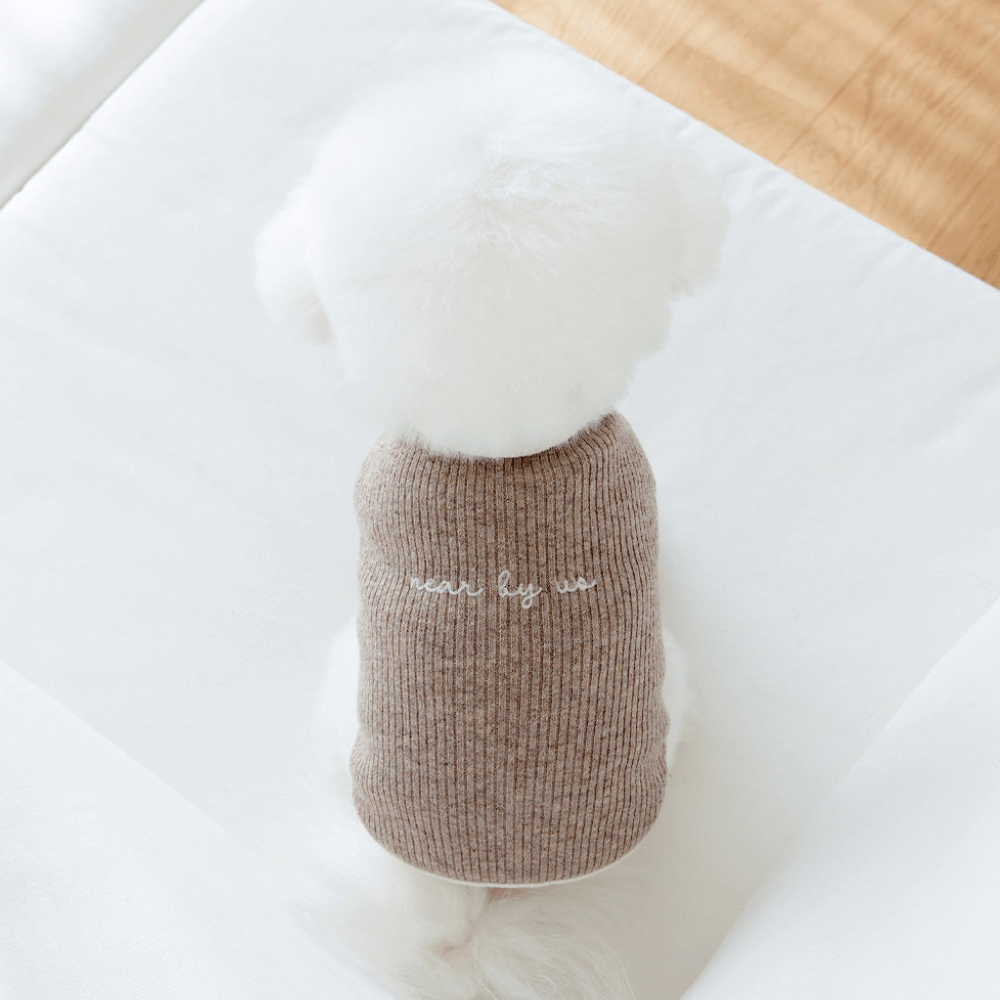 palette wool knit top (mocha mousse)