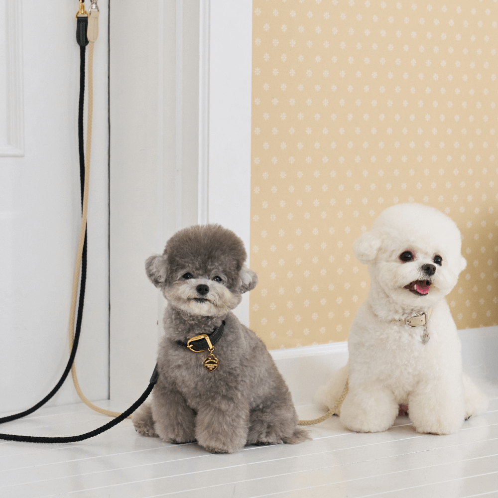 【予約】BLISS ROPE LEASH(Baby Cream)