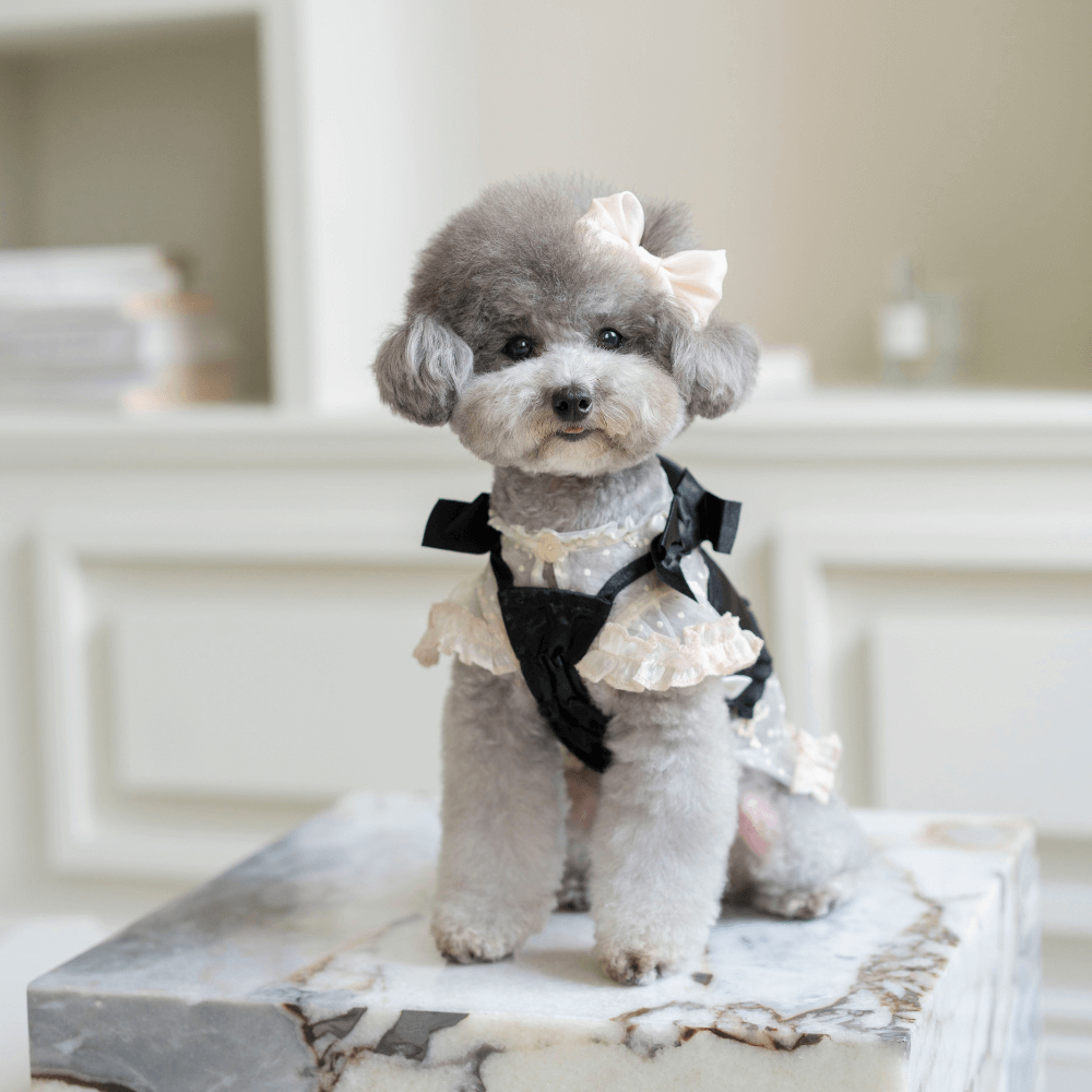 Shiny Ribbon Bustier(Shimmer Black)