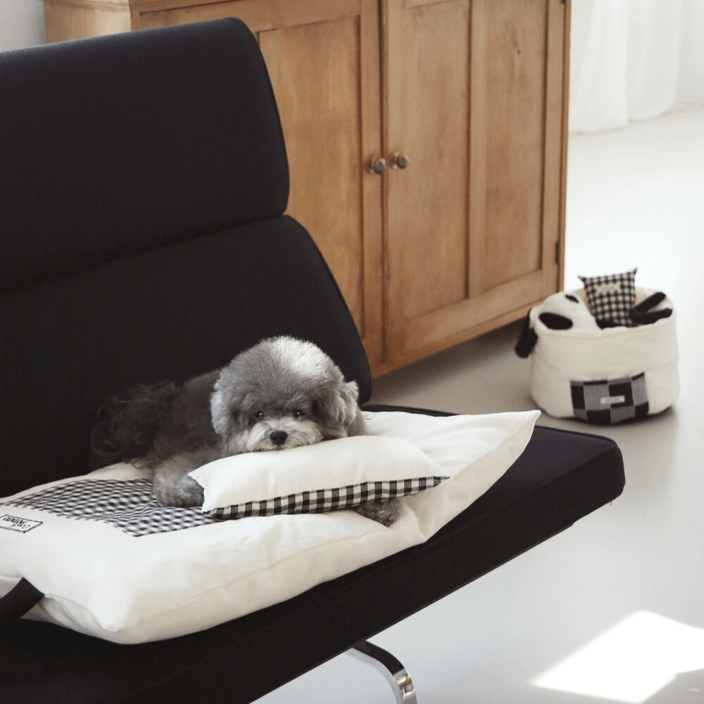 Mini Square Pillow(black)