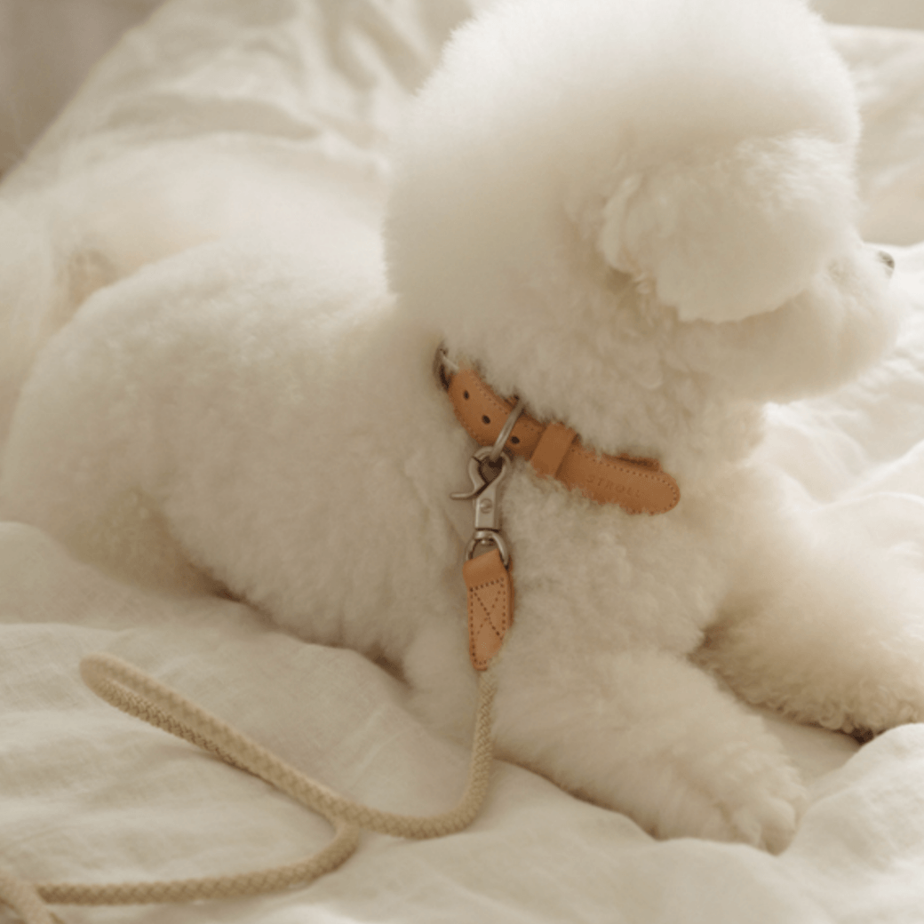 Rope Leash (Beige)