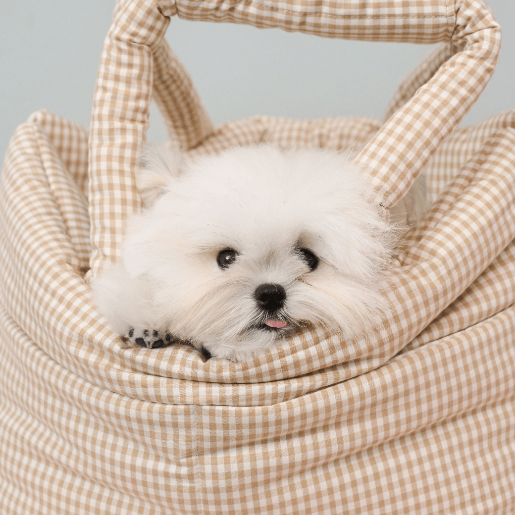 【9/9 20:00-】wide bag - plaid beige(APERTY)