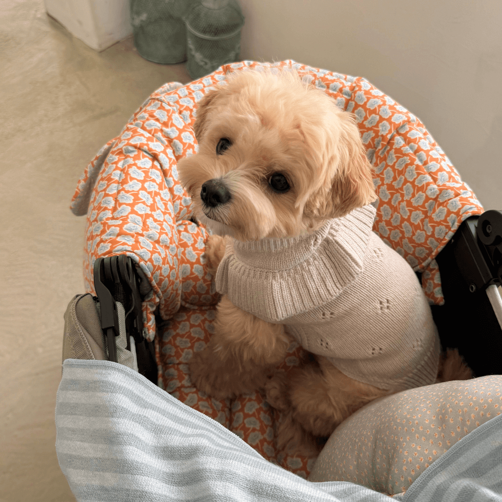 【予約】Fluffy Buggy Guard 25FW(Brick Gray)