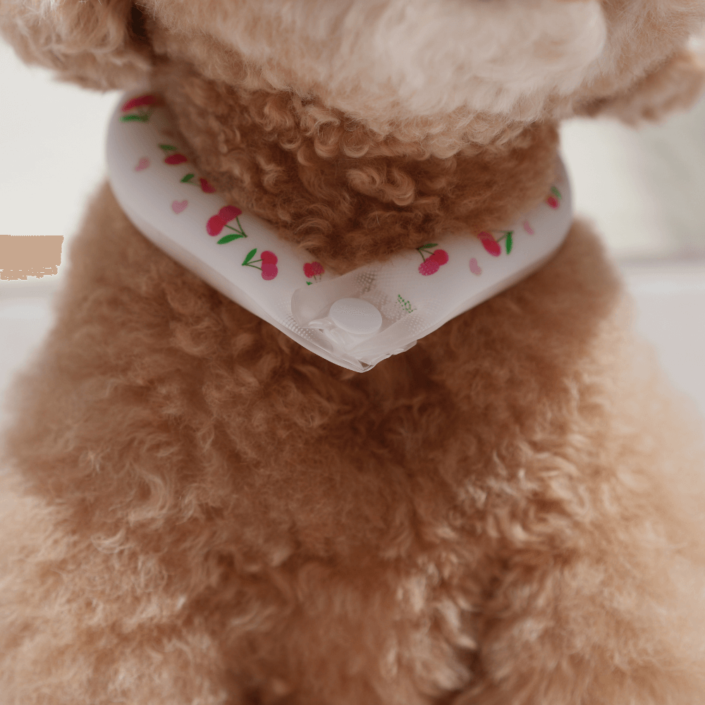 OPAAAP×SUO Ice Cool Ring (Cherry Bomb)