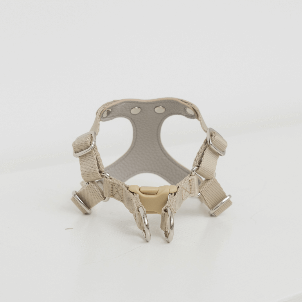 DELIGHT HARNESS(ベージュ)