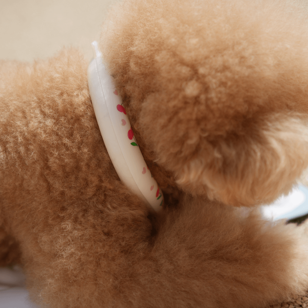 OPAAAP×SUO Ice Cool Ring (Cherry Bomb)