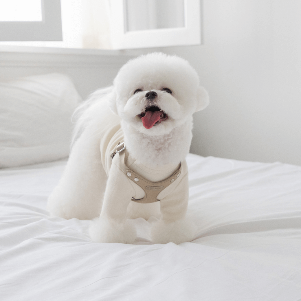 DELIGHT HARNESS(ベージュ)
