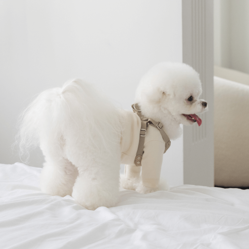 DELIGHT HARNESS(ベージュ)