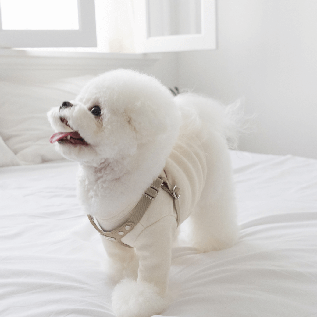 DELIGHT HARNESS(ベージュ)