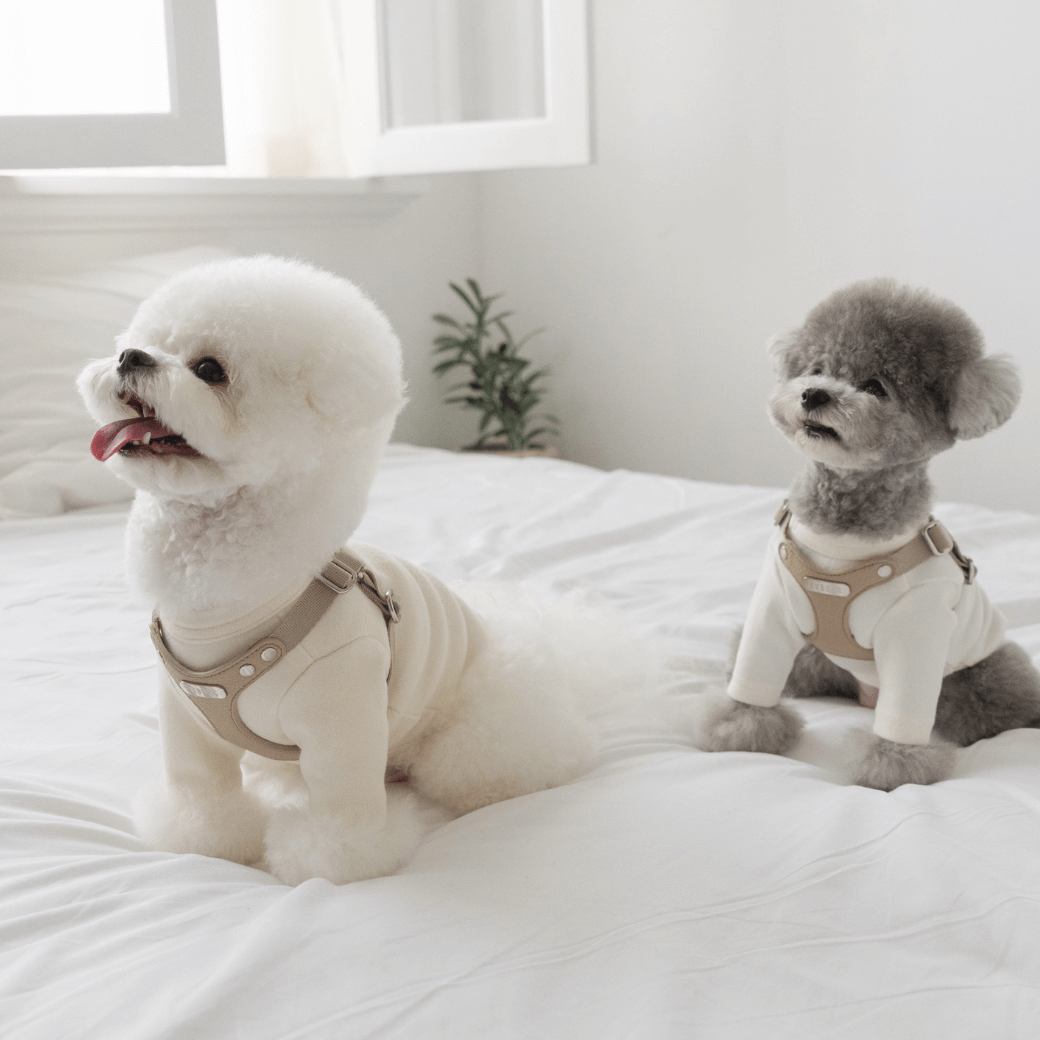 DELIGHT HARNESS(ベージュ)