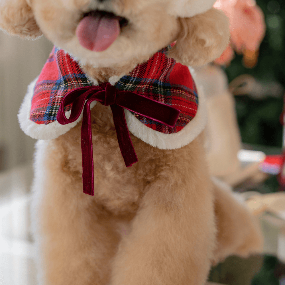 Merry Check Fur Cape(Red)