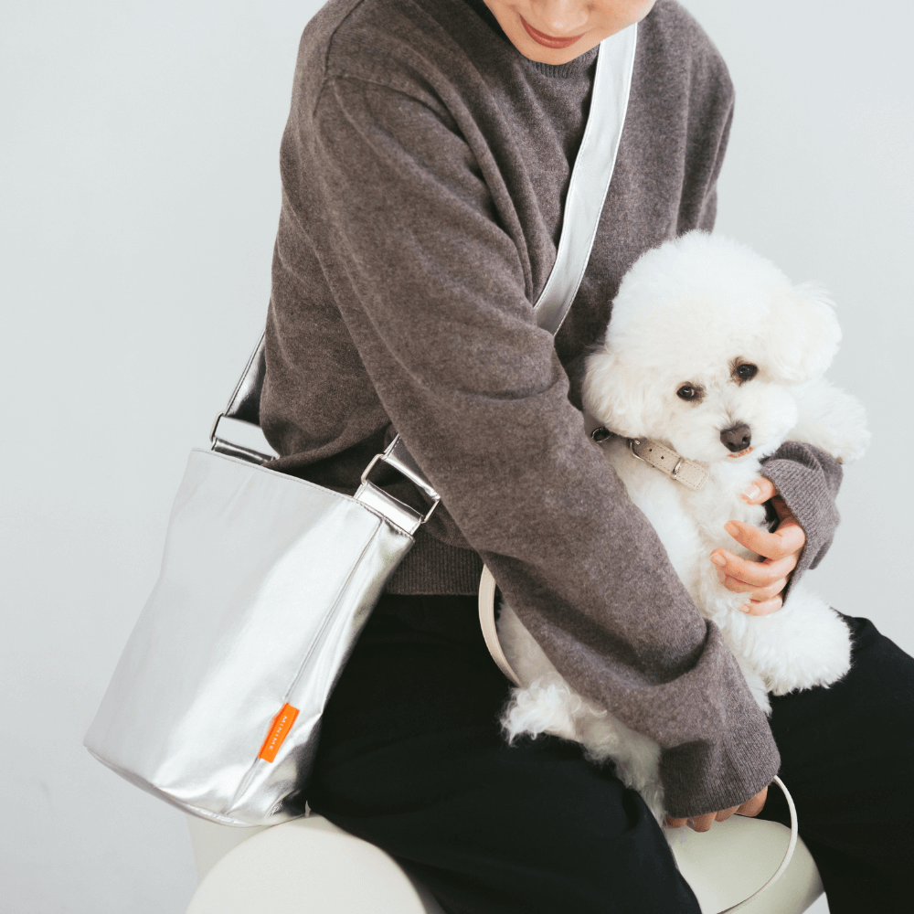 METALLIC LEATHER LIKE BAG(3color)
