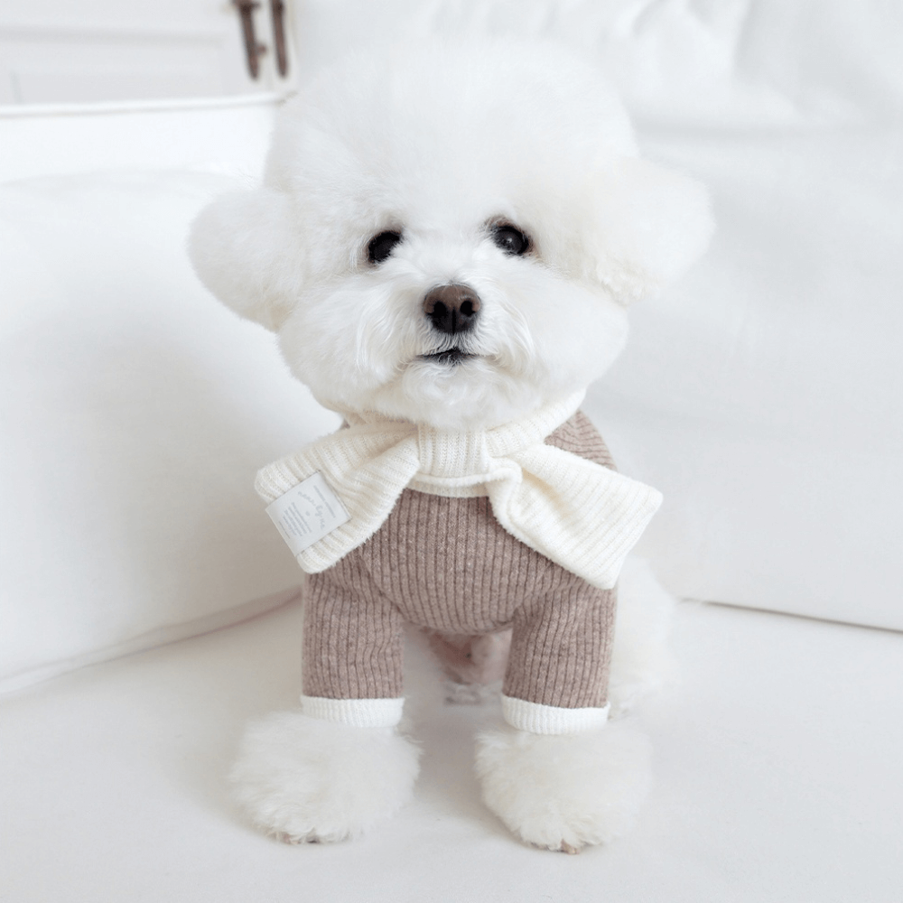 palette wool knit top (mocha mousse)