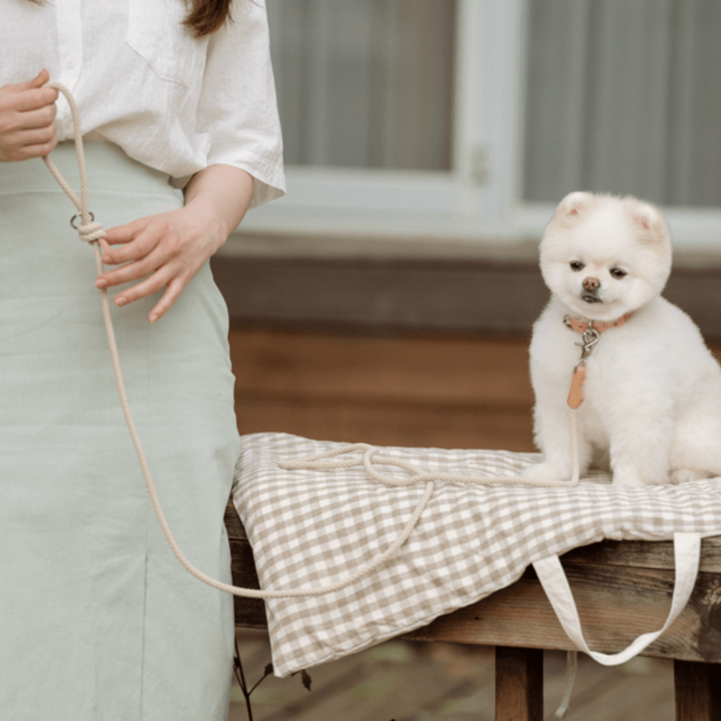 Rope Leash (Beige)