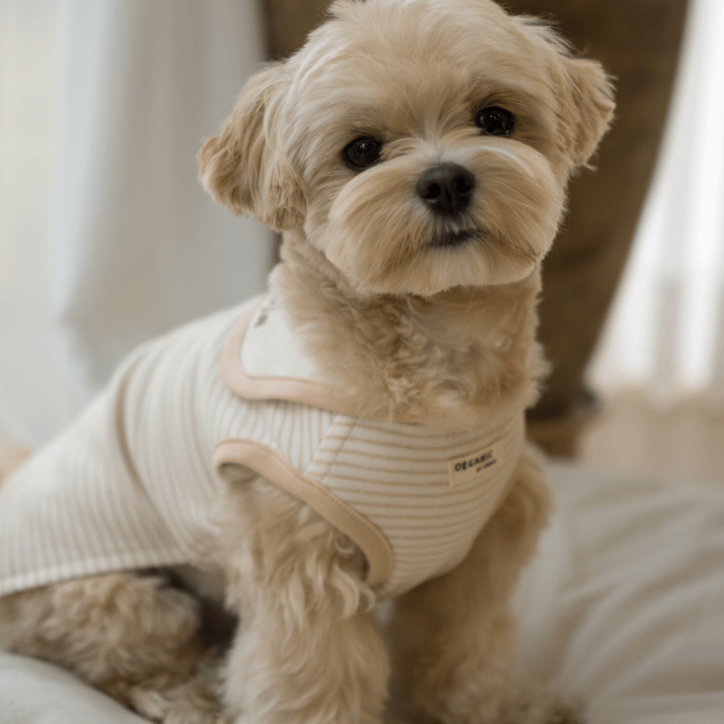 【予約】ORGANIC SAILOR SLEEVLESS(ネーム刺繍可 / 2COLOR)