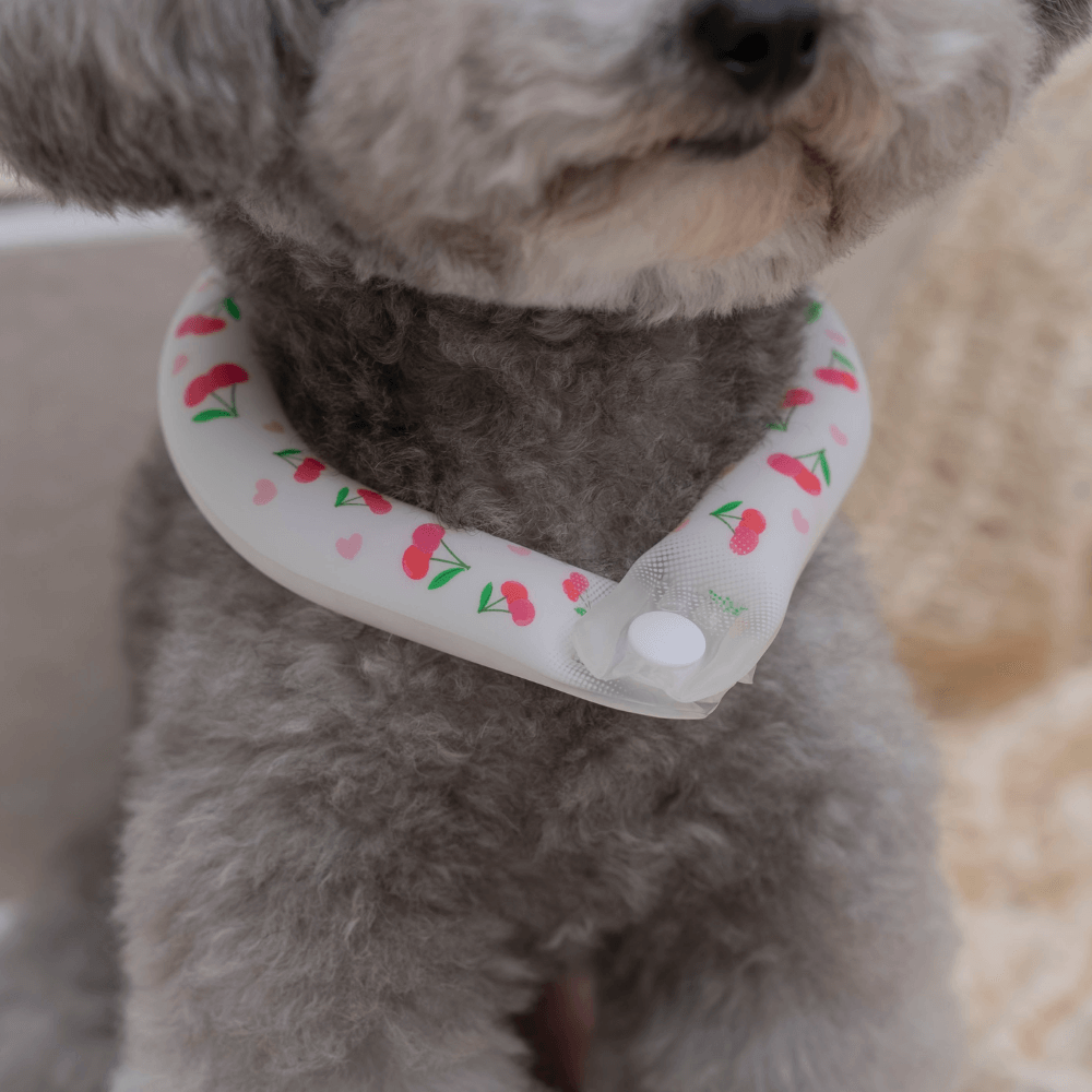 OPAAAP×SUO Ice Cool Ring (Cherry Bomb)