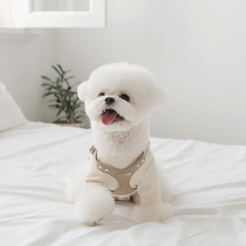 DELIGHT HARNESS(ベージュ)