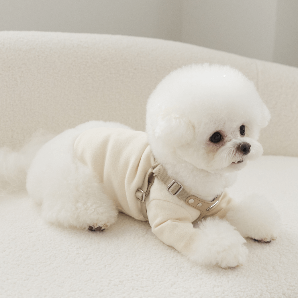 DELIGHT HARNESS(ベージュ)