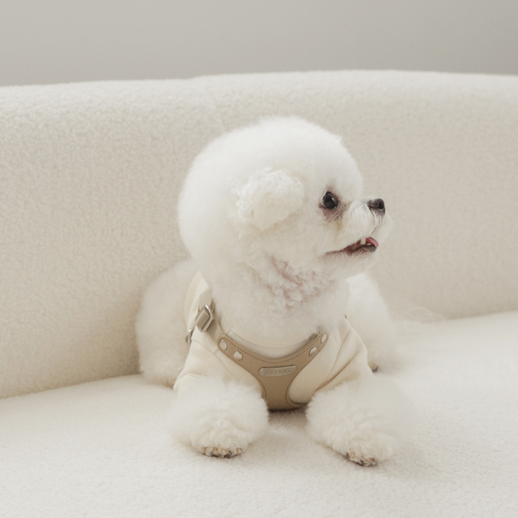 DELIGHT HARNESS(ベージュ)