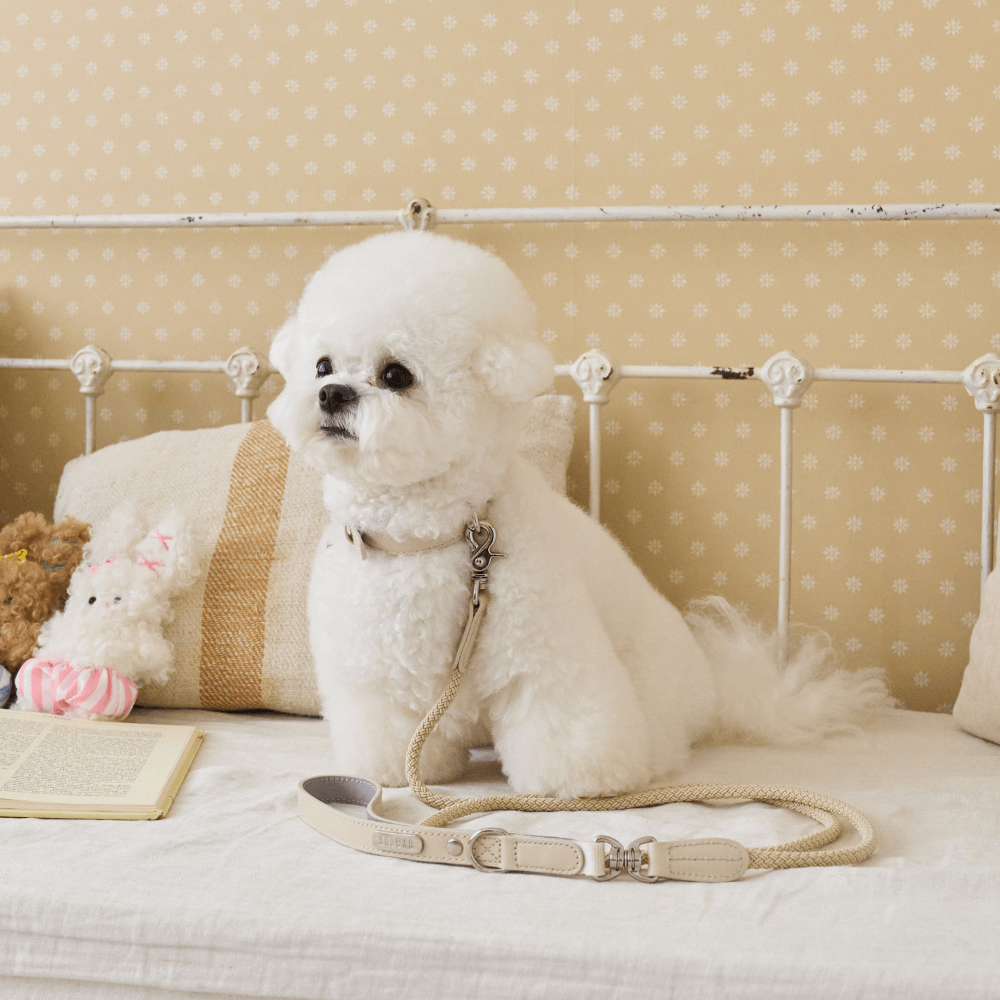 【予約】BLISS ROPE LEASH(Baby Cream)