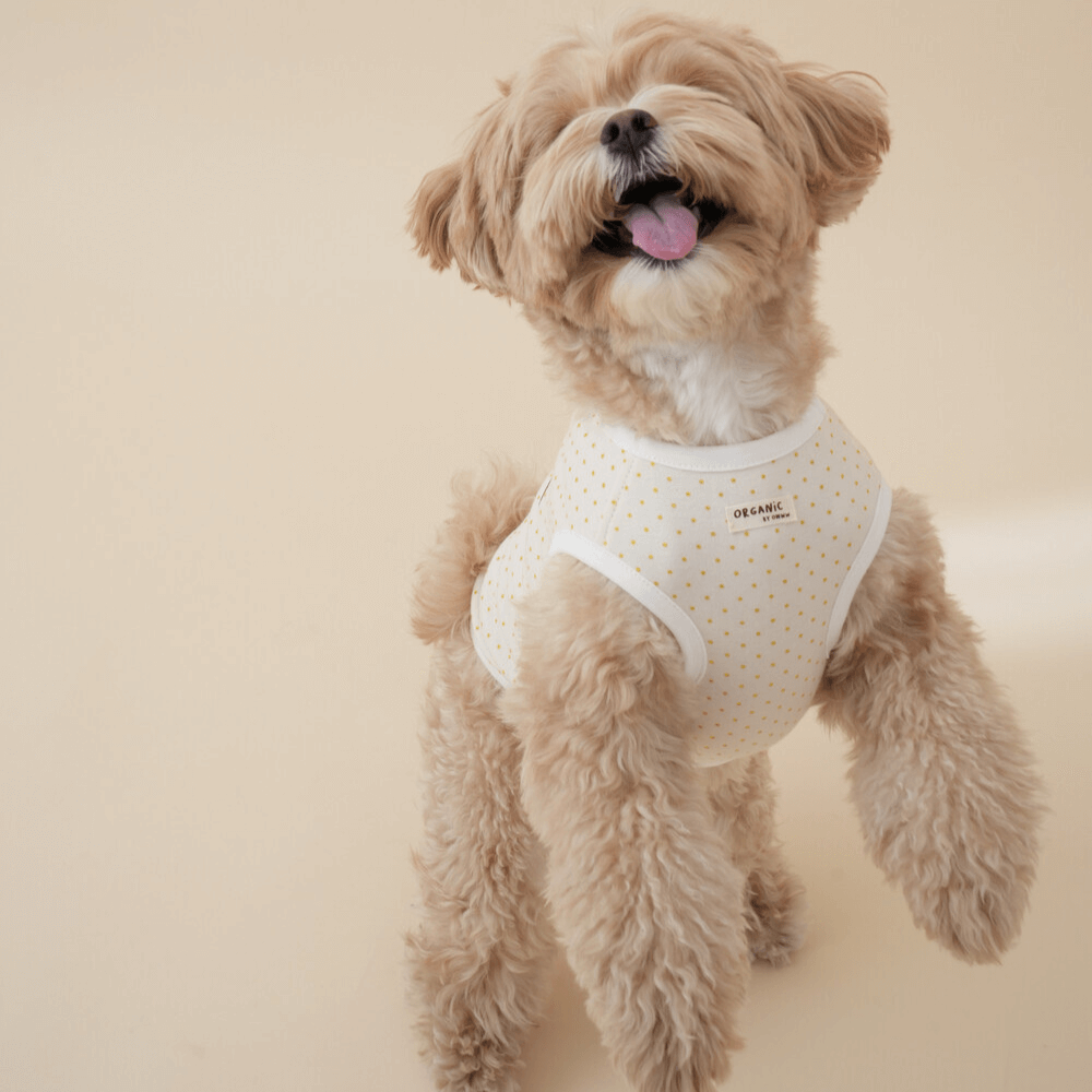 Organic Simple Sleeveless dot